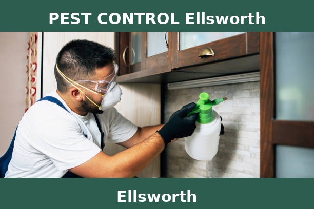 PEST CONTROL Ellsworth